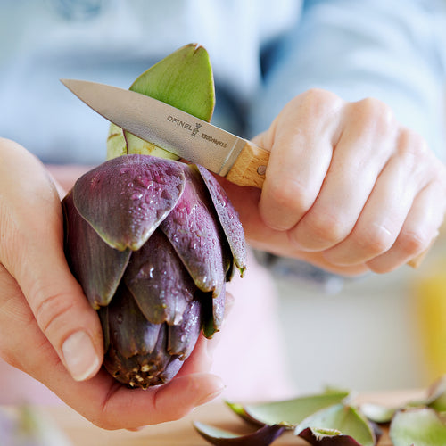 Estuche de 4 cuchillos básicos de cocina