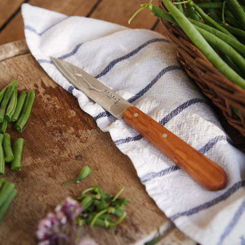 Estuche de 4 cuchillos básicos de cocina