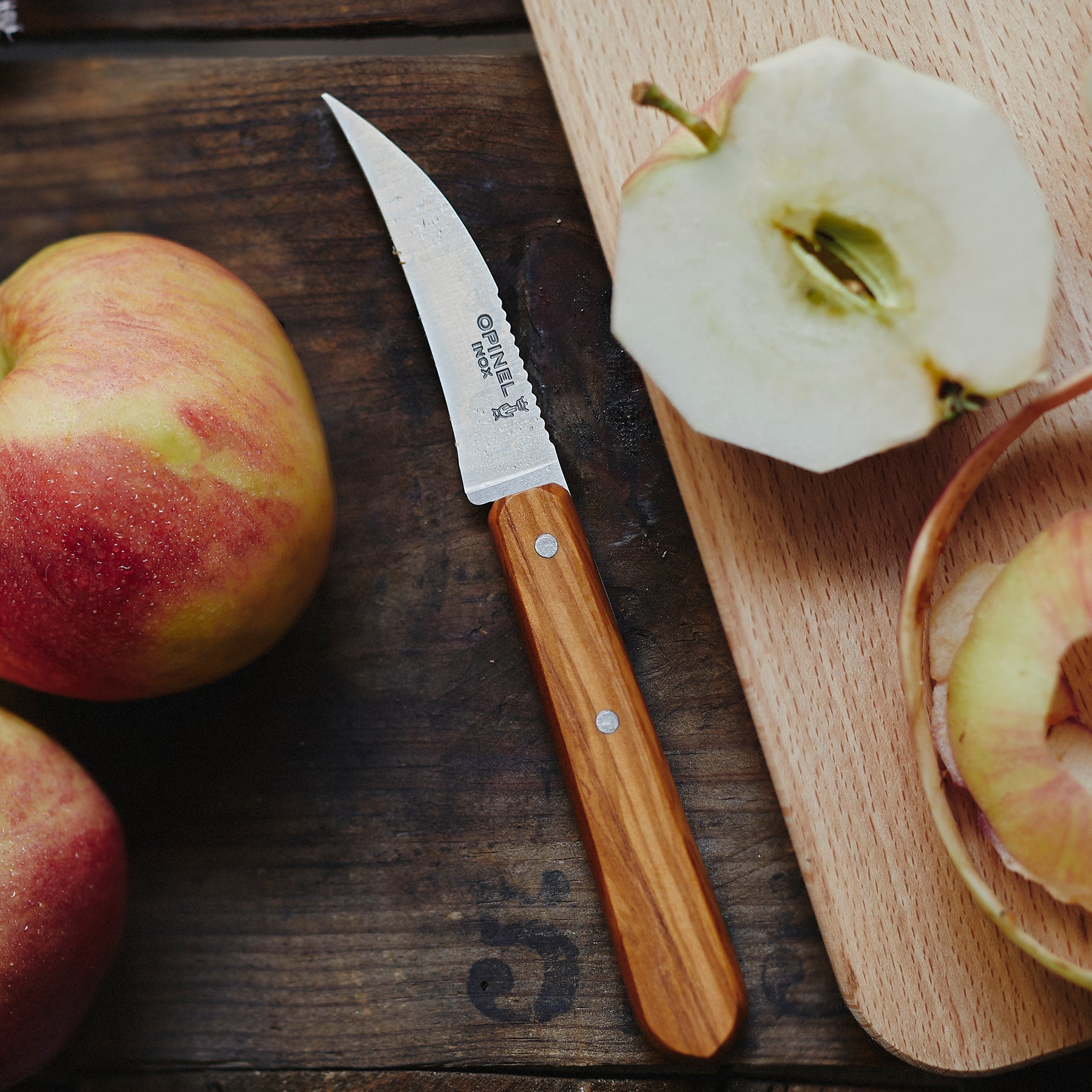 Estuche de 4 cuchillos básicos de cocina