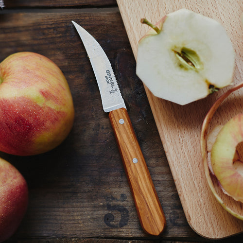 Estuche de 4 cuchillos básicos de cocina