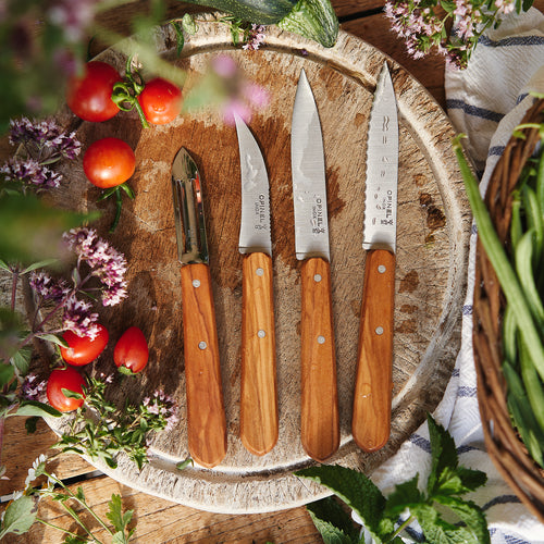 Estuche de 4 cuchillos básicos de cocina