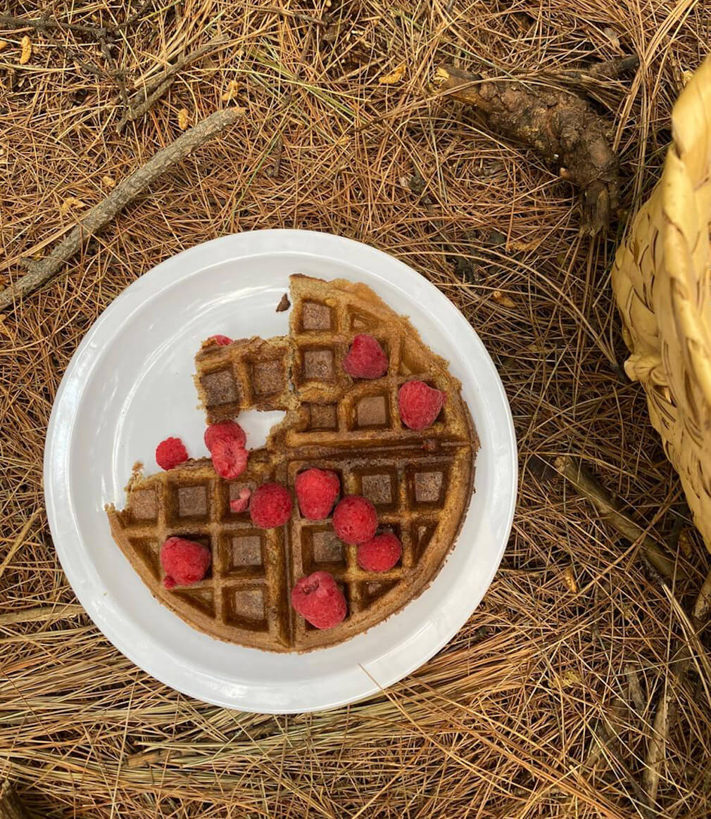 Waffles de almendra