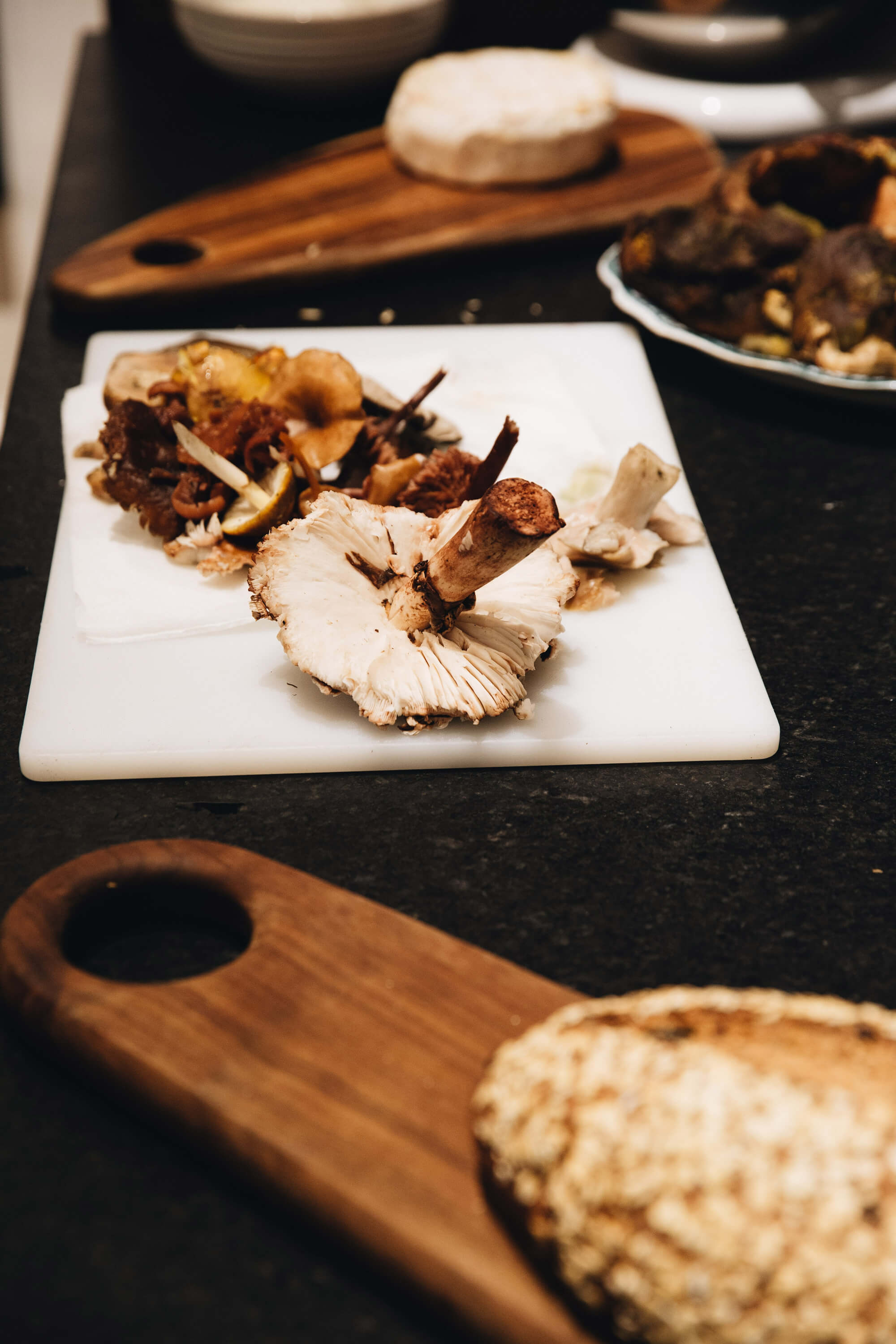 Tostadita de hongos con ricotta