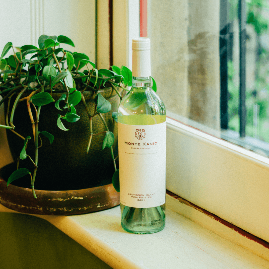 Sauvignon Blanc, 2021, Monte Xanic